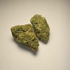 Sluriccane (PREMIUM)