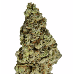 Red Headed Stranger (Sativa)