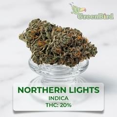 Northern Lights