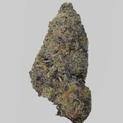 Strawberry Cough AAA