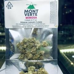 (MONT VERTE) 5G MIMOSA BAG FLOWER