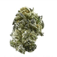 GIRL SCOUT COOKIES (GSC)