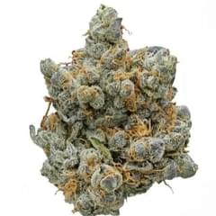 Bubblegum Gelato (Designer)