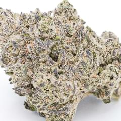 HELLA JELLY (DESIGNER)