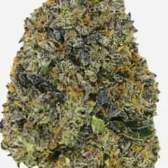 BERRY ZKITTLEZ (PREMIUM)