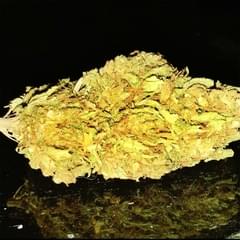 Premium LAUGHING BUDDHA