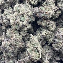 Lemon Cherry Gelato (LA)