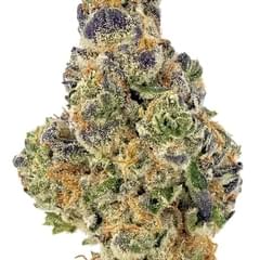 Animal Mints (TOP SHELF)