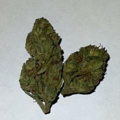 biscotti (premium top shelf)