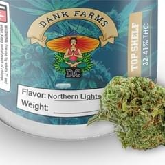 Northern Light (AAA)