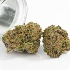 Yuzu Mac – 32–33% THC (Top shelf)