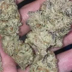 BLUEBERRY CUPCAKE (EXOTIC)