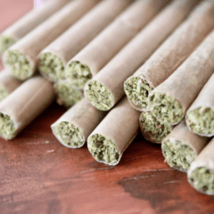 Designer Pre Roll---Recommend