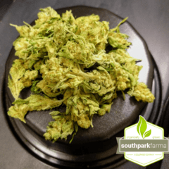 $99 GlueBall Prepack OZ