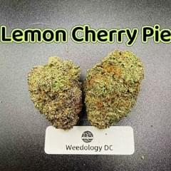 Lemon Cherry Pie---Exotics
