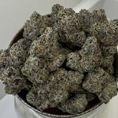 Gumbo Runtz | Permanent Holiday