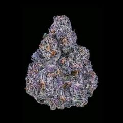 EXOTIC - BLACK RUNTZ