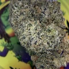 RESERVE- BLACK CHERRY GELATO