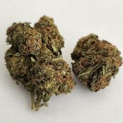 Turbo Space cake - P