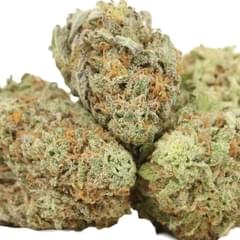 WHITE WIDOW (PREMIUM)