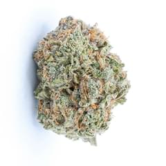 Killer Queen (Top Shelf)