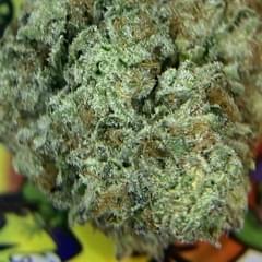 PREMIUM- KEYLIME PIE