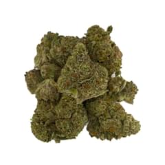 Alien Labs - Kryptochronic -