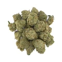 Alien Labs - Xeno Smalls -