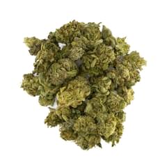 All Time - Neapolitan -