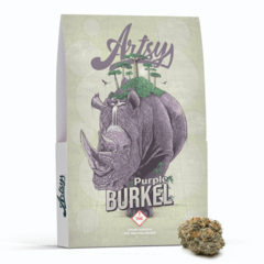 Artsy Cannabis | Purple Burkel | Indica