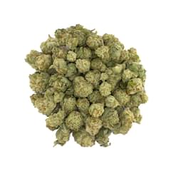 Aster Farms - Papaya Punch -