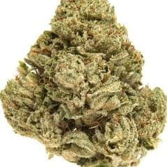 Skywalker OG (exotic)