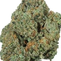 FRENCH COOKIES (PREMIUM)