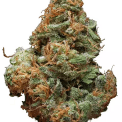 Blue Cheese (Designer)