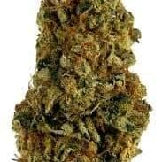 Super Silver Haze (PREMIUM)