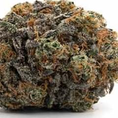 BUBBLE GUM GELATO (TOPSHELF)