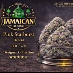 Pink Starburst