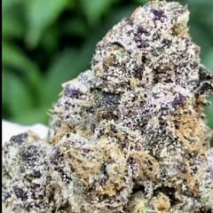 WHITE LEMON CHERRY (DESIGNER)