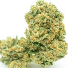 Sour Joker (Sativa)