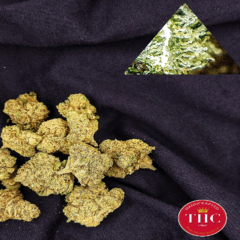 Banana Sundae (treeline)