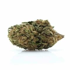 Willie Nelson (top shelf)