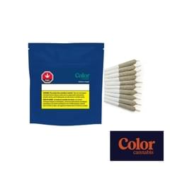 Blueberry Seagal PR 10pk