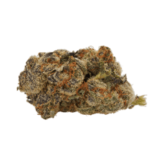 buttonless SINALOA GOLD (ACAPULCO GOLD CROSS) | DELTA 9