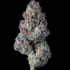 Exotic- Blueberry Caviar