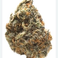 GRAPE SORBET (TOPSHELF)