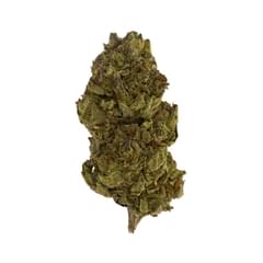 Calibum - Garlotti -