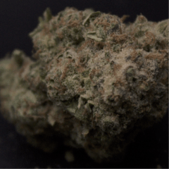 Cannatonic x Chem Dogg