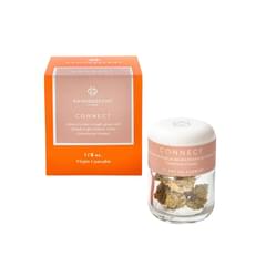 Canndescent - Hybrid - Connect 423 - 3.5g Flower