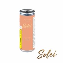 MANGO PASSIONFRUIT - 355