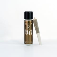 Sugar Fish : Grand CRU 40 (0.5G Infused Pre-Roll)